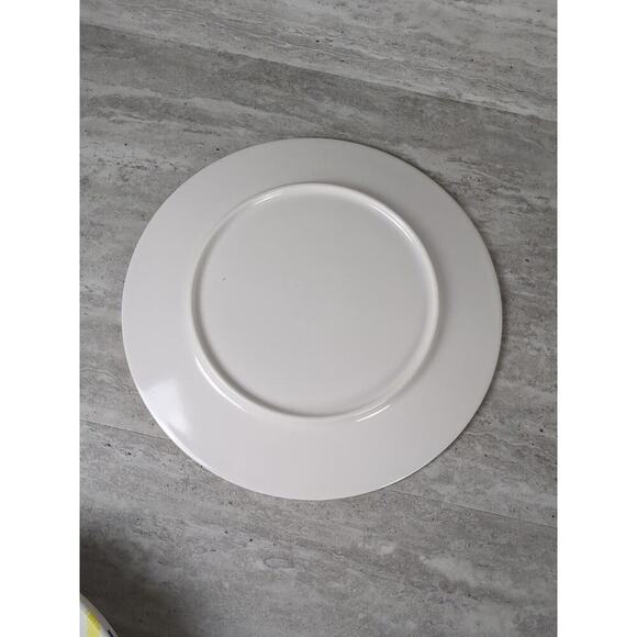 Set Of 5 Melamine Plastic Plates, Summer Collection, Target Brand - Picture 4 of 6